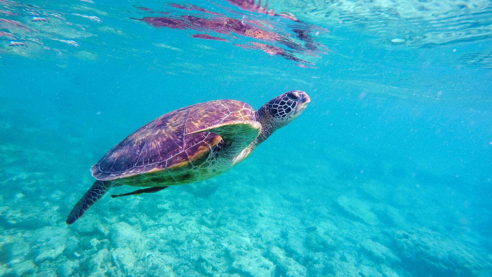 Zakynthos driving costs