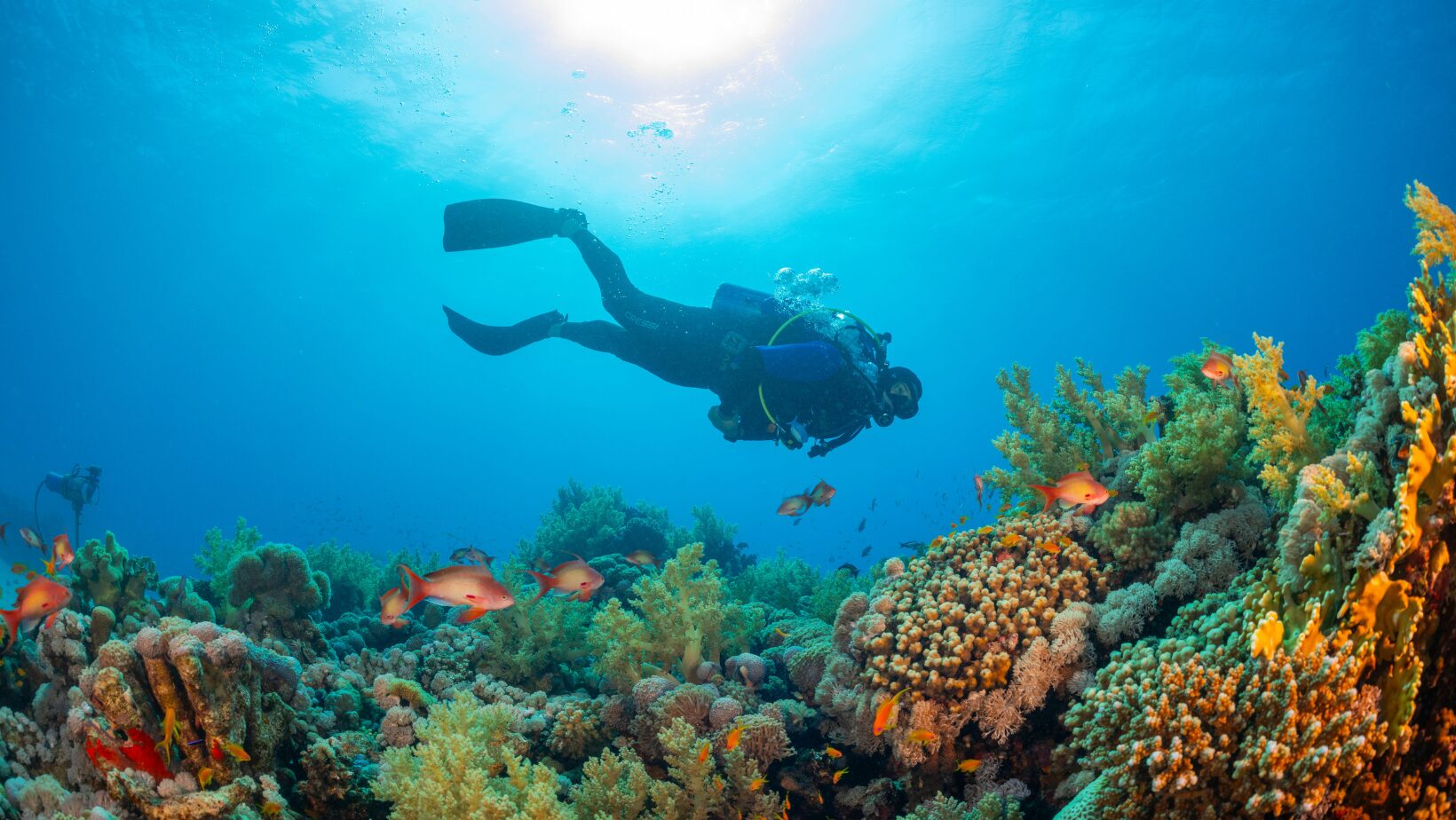 activities to do in Zakynthos