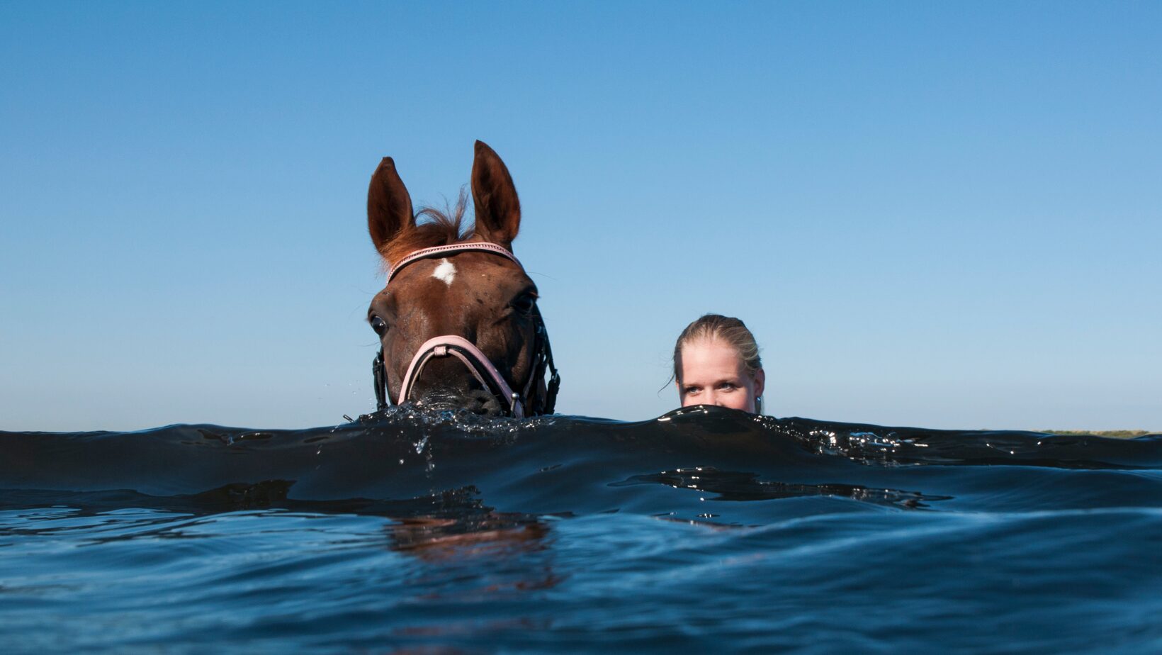 activities to do in Zakynthos